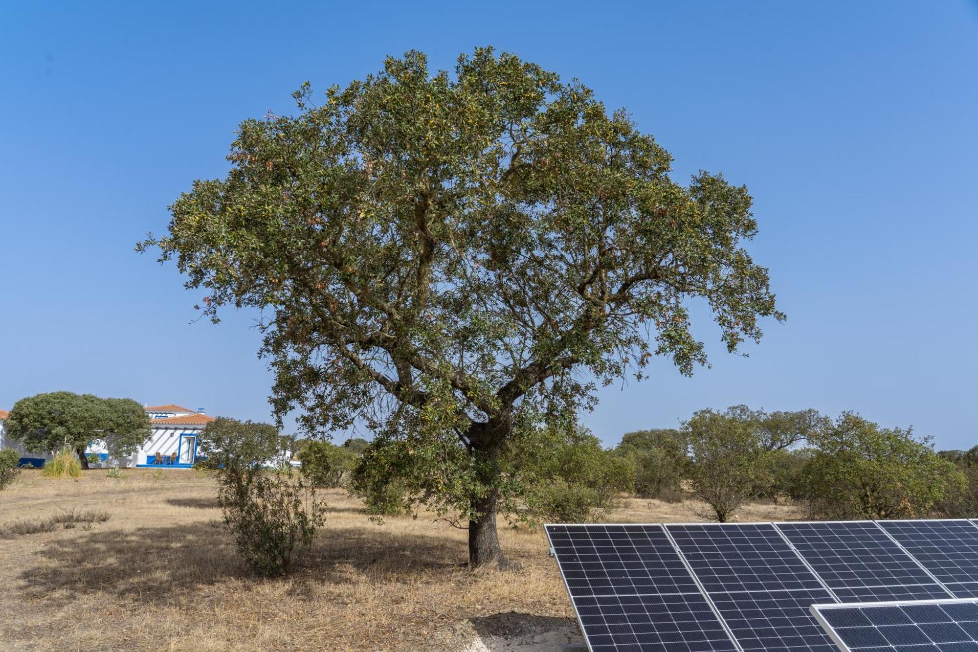 Change The World - Herdade Monte Do Peral Montes Juntos Zewnętrze zdjęcie