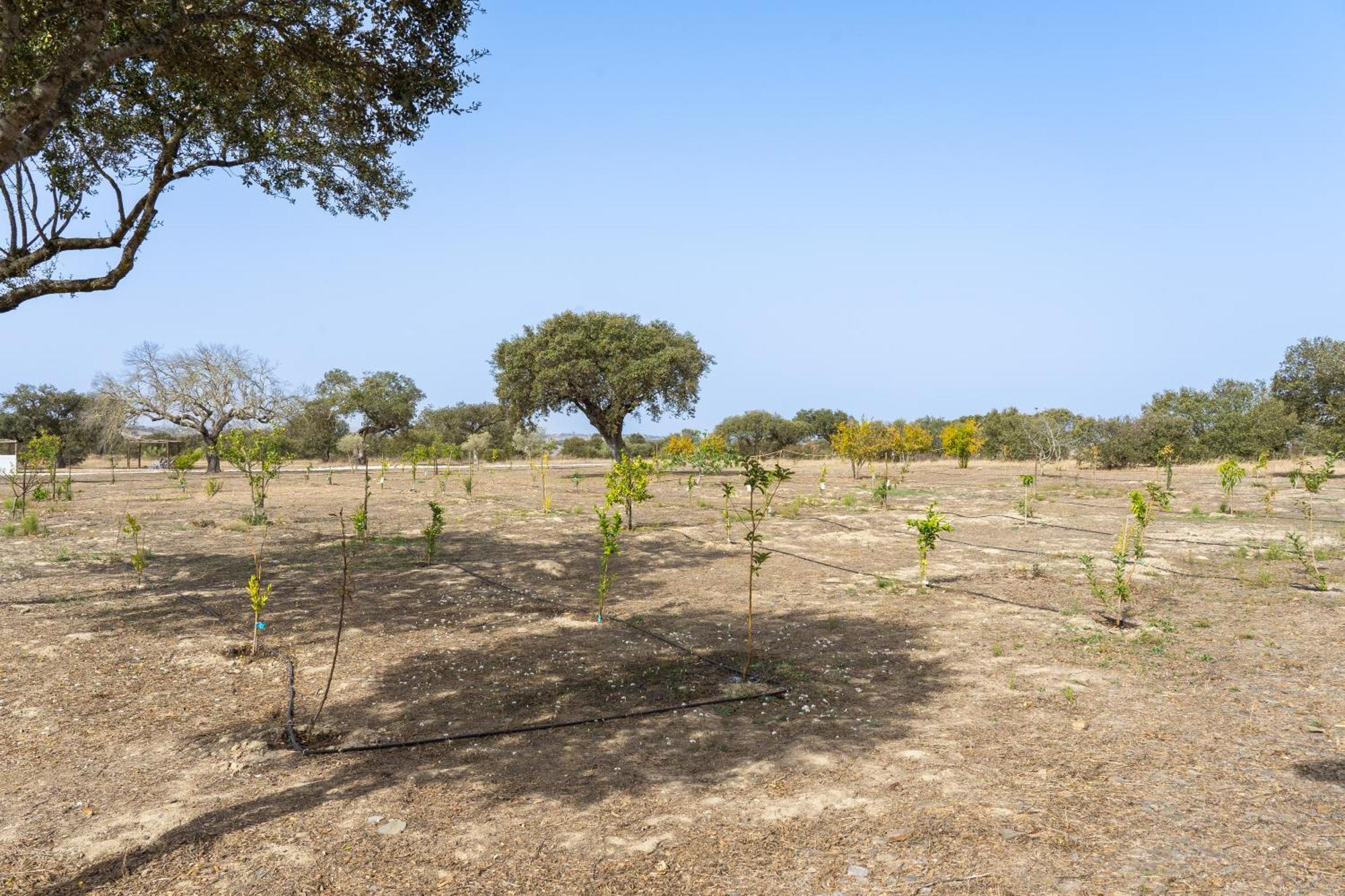 Change The World - Herdade Monte Do Peral Montes Juntos Zewnętrze zdjęcie